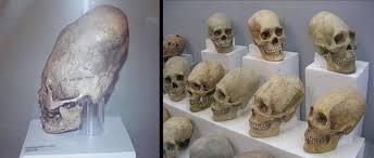 http://peterpetrellisite.wordpress.com/2008/08/18/una-historia-de-engano-parte-2-a-history-of-hoax-part-2/ http://peterpetrellisite.wordpress.com/2008/08/18/una-historia-de-engano-parte-2-a-history-of-hoax-part-2/