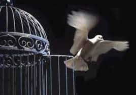 http://www.taringa.net/posts/info/2073095/Que-es-la-Libertad.html http://www.taringa.net/posts/info/2073095/Que-es-la-Libertad.html
